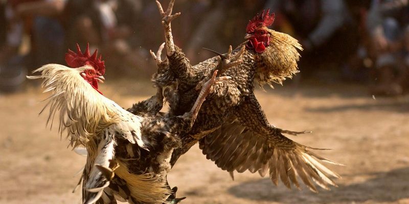 Hình thức này không sử dụng những công cũ hỗ trợ