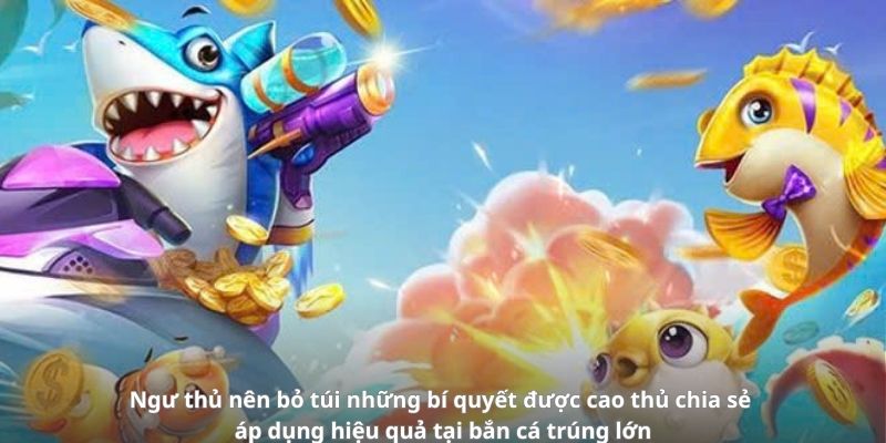 Ngư thủ nên bỏ túi những bí quyết được cao thủ chia sẻ áp dụng hiệu quả tại bắn cá trúng lớn