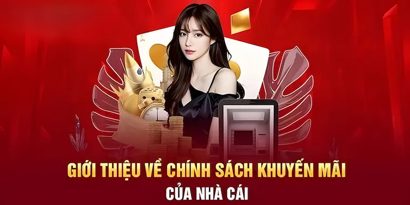 Khám phá thông tin về chương trình bảo hiểm cược thua 58Win