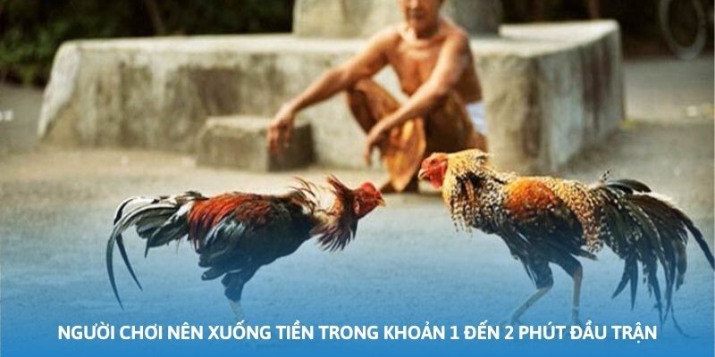 Người chơi nên xuống tiền trong khoản 1 đến 2 phút đầu trận
