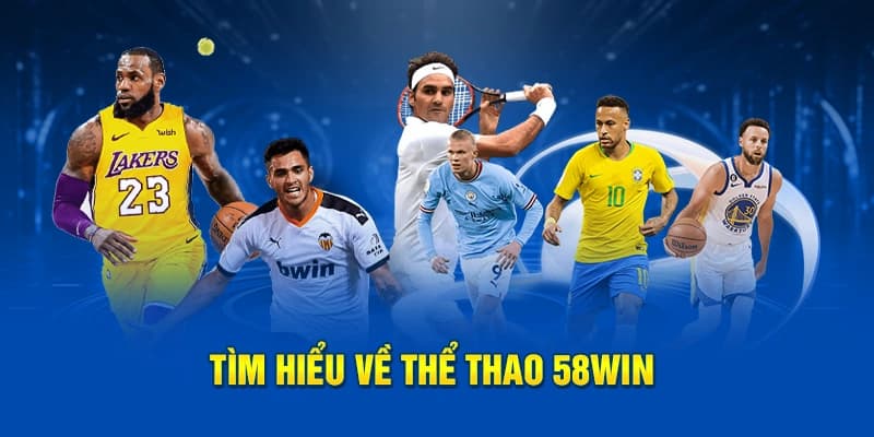 Đôi nét về cá độ thể thao 58Win