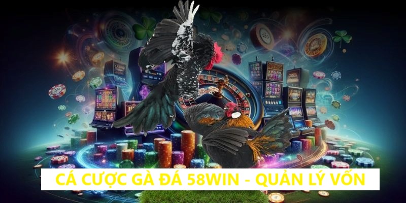 Bí quyết quản lý vốn đá gà 58win