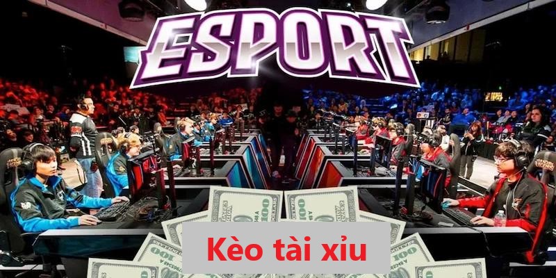 Kèo eSport tài xỉu đem lại cơ hội chiến thắng rất cao