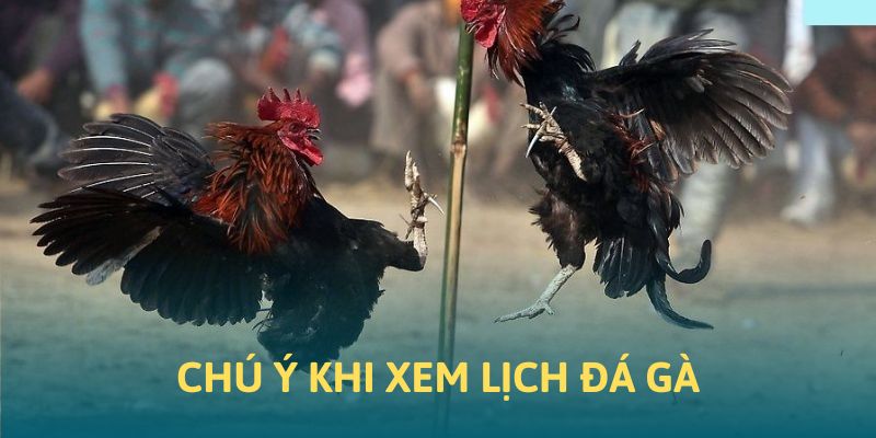 Những vấn đề quan trọng cần lưu ý khi truy cập vào lịch thi đấu đá gà 58Win
