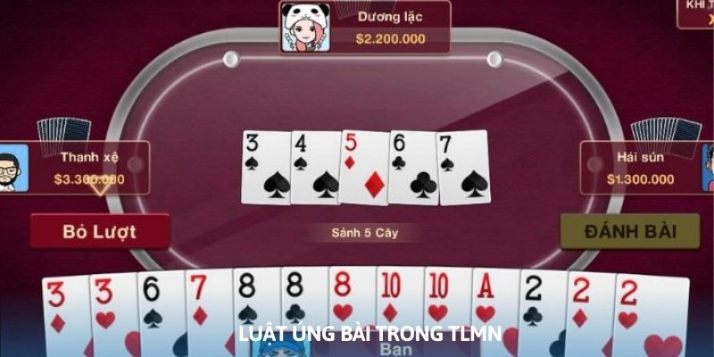 Các trường hợp đặc biệt mà hội viên cần lưu ý khi đánh TLMN